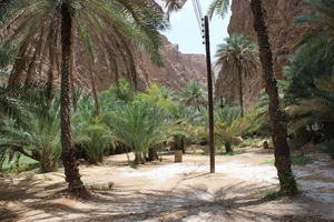 The first stretch of Wadi Shab