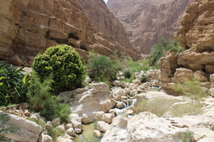 Hiking in Wadi Shab