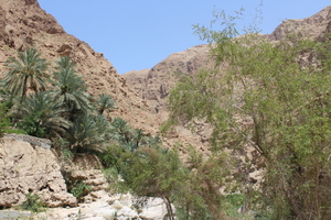 Hiking in Wadi Shab