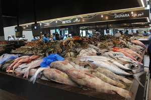 Fish market stall in Abu Dhabi